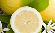 Limón, medio limón y azahar.