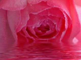 Agua de rosas.