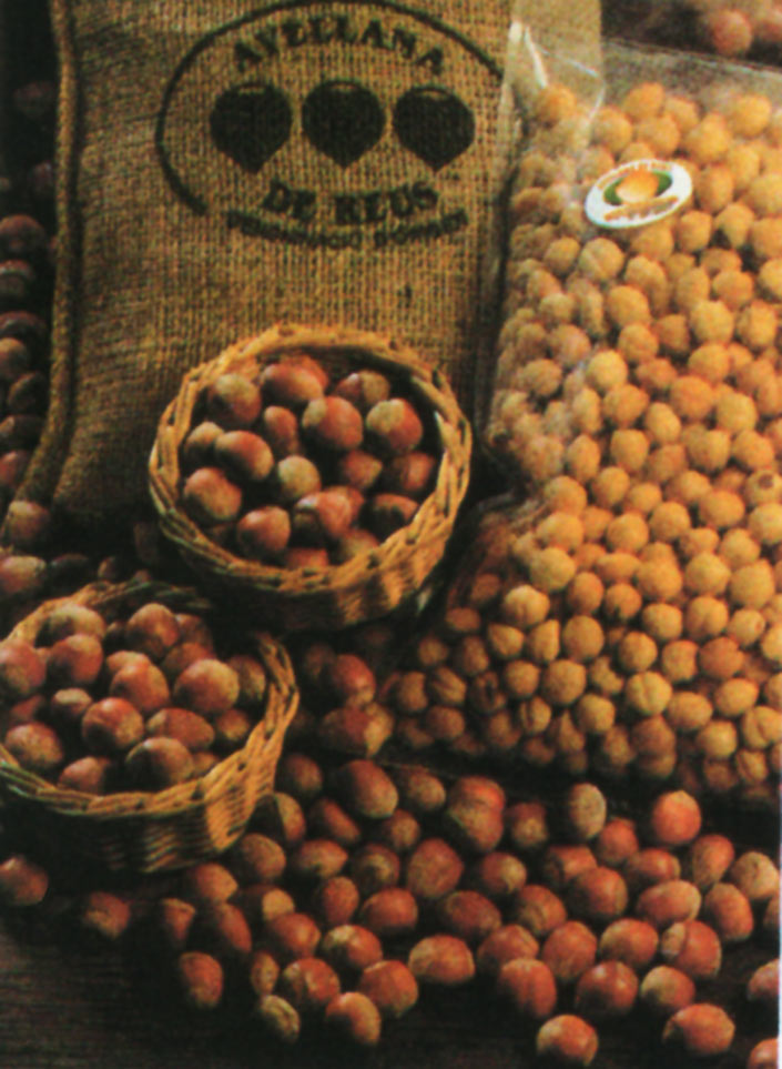El cultivo de la avellana en Tarragona se remonta como mínimo al siglo XIII.