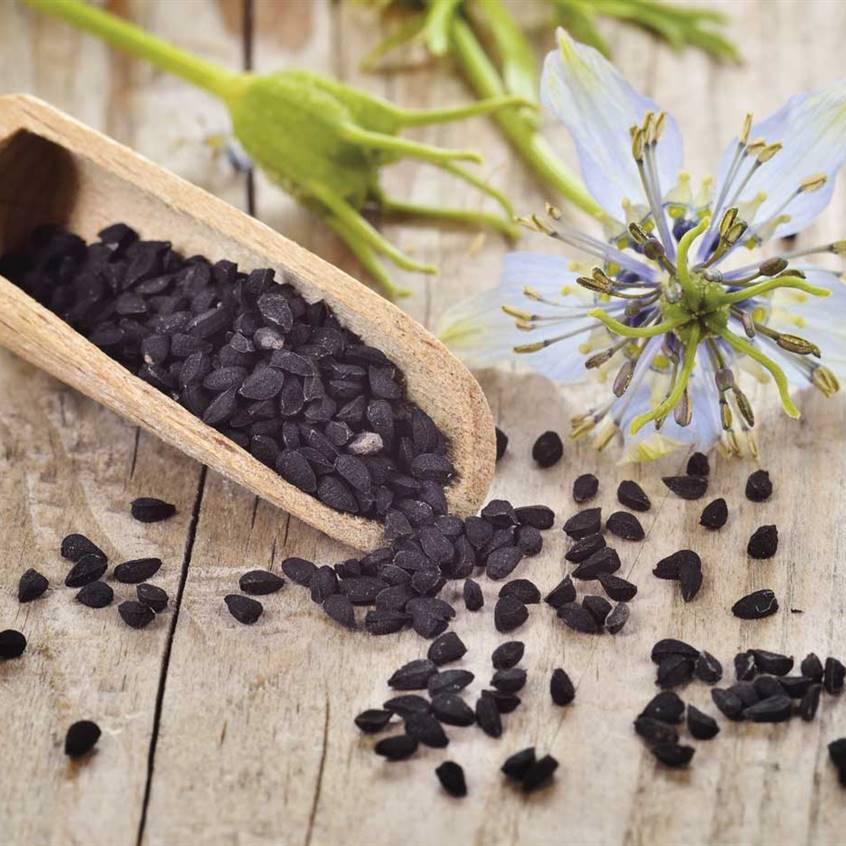 Las semillas del ajenuz (negras y rugosas) se emplean, desde tiempos remotos, en medicina y como condimento.