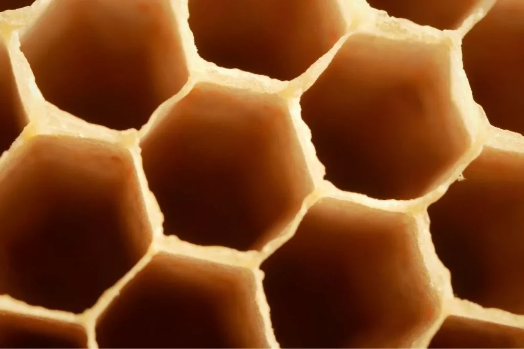Las colmenas están formadas por panales. Un panal es un conjunto de pequeñas celdas hexagonales que forman lo que generalmente conocemos como una estructura de panal.