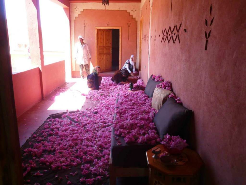 Kasbah de las rosas en el Valle de Dades conocido como el Valle de las Rosas. Marruecos.