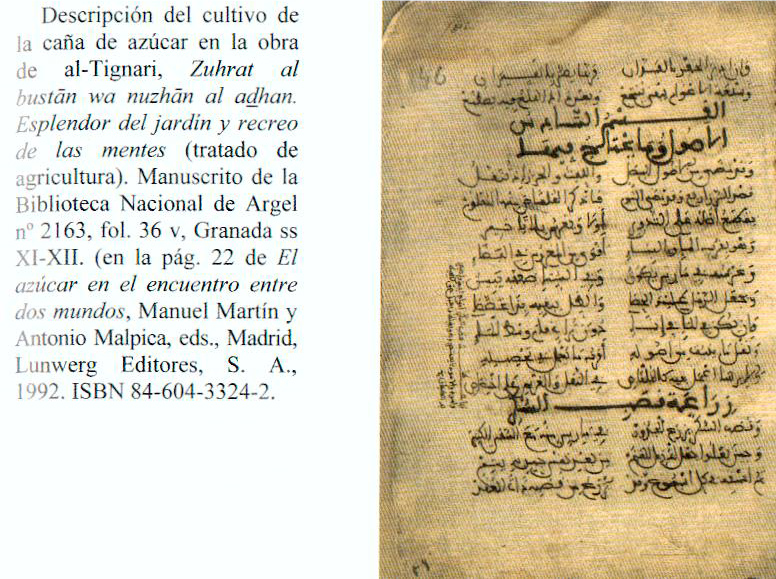 Tratado andalusí de Agricultura de al-Tignari. Granada, siglo XI-XII.