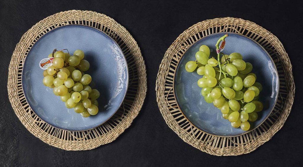 El consejo regulador vigila cada campaña y garantiza la calidad y que las cantidades de uva embolsada con D.O. P. estén en consonancia con las cantidades de uva de mesa recolectada.