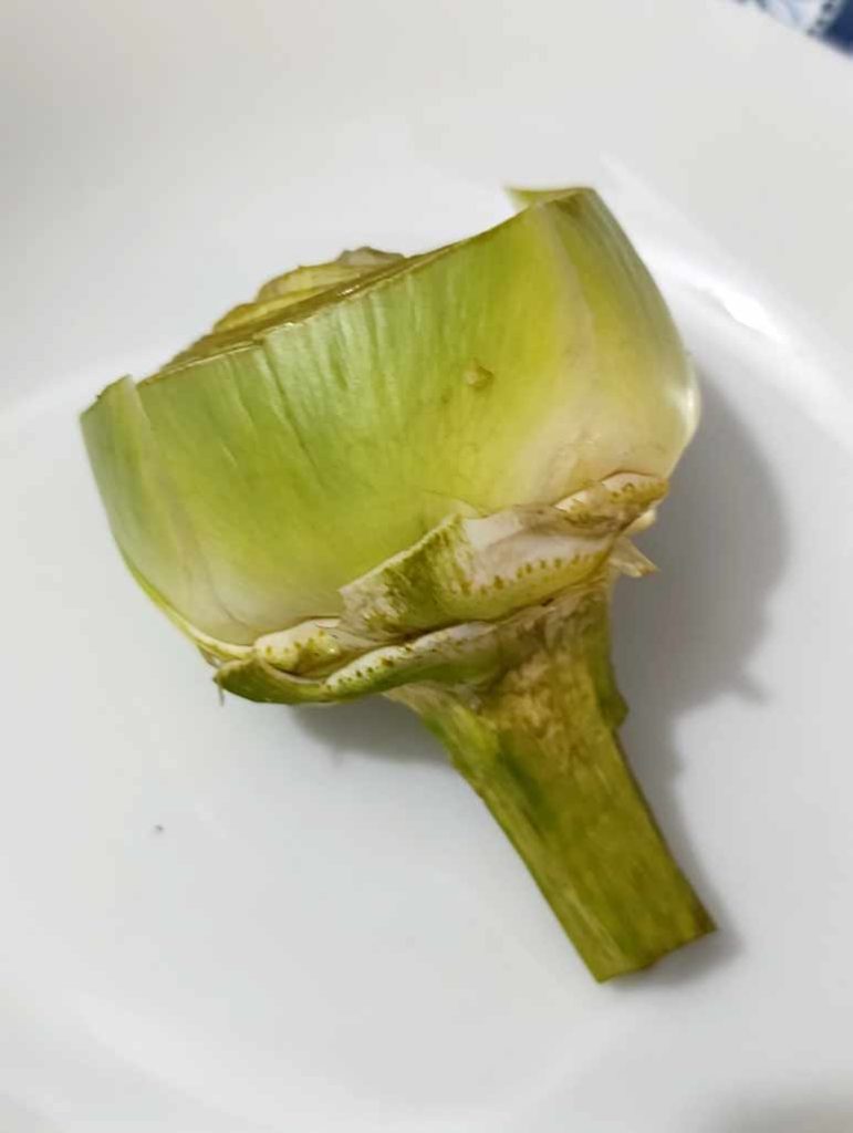 Alcachofa limpia.